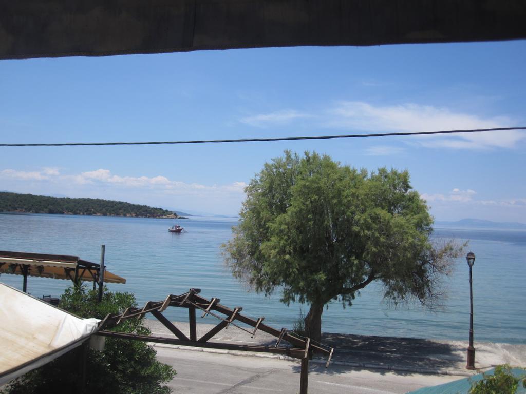 Gorgona Daire Milina Dış mekan fotoğraf