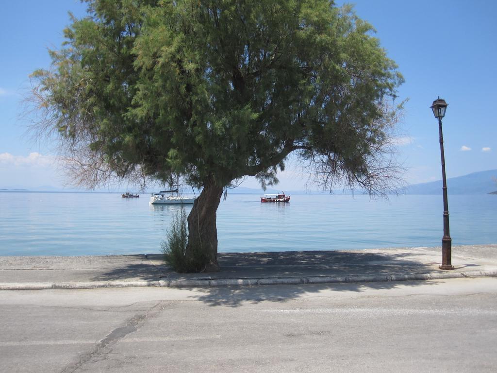 Gorgona Daire Milina Dış mekan fotoğraf
