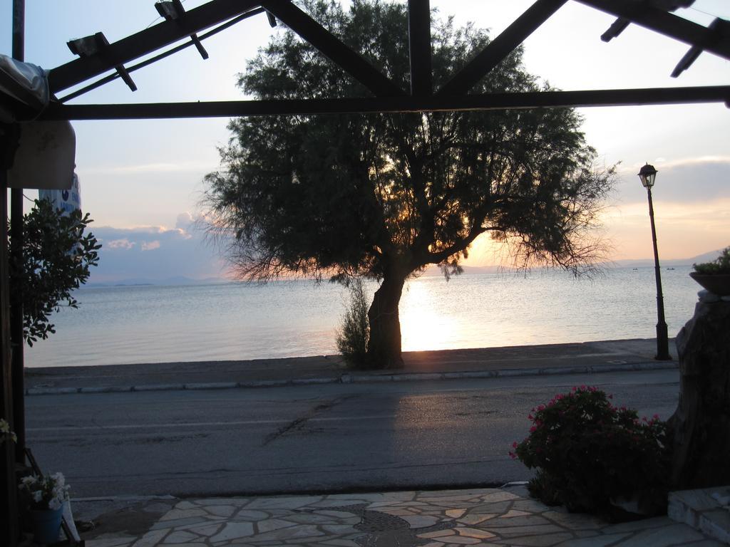 Gorgona Daire Milina Dış mekan fotoğraf